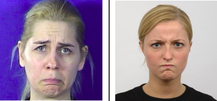 Cross-Database Facial Expression Recognition Based on Fine-Tuned Deep Convolutional Network